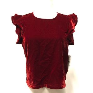 Zara Red Velvet Top NEW